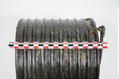 Foto von Bronzerippenziste (NHMW-PRAE-025670)